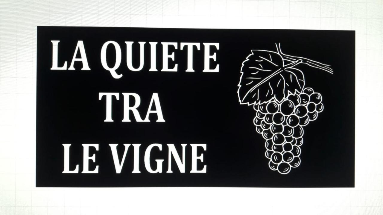 La Quiete Tra Le Vigne Tuscany Collesalvetti Exteriör bild