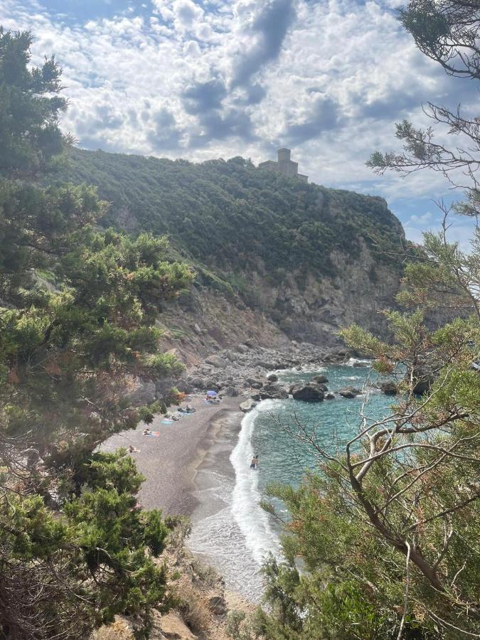 La Quiete Tra Le Vigne Tuscany Collesalvetti Exteriör bild