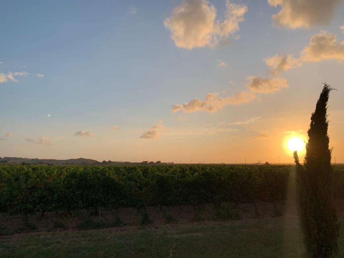 La Quiete Tra Le Vigne Tuscany Collesalvetti Exteriör bild