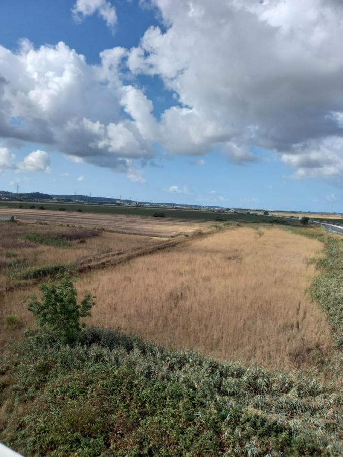 La Quiete Tra Le Vigne Tuscany Collesalvetti Exteriör bild