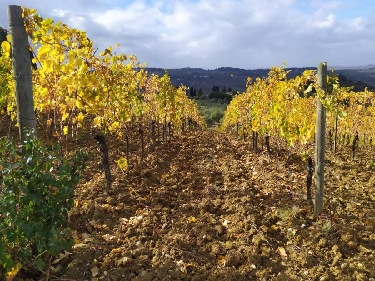 La Quiete Tra Le Vigne Tuscany Collesalvetti Exteriör bild