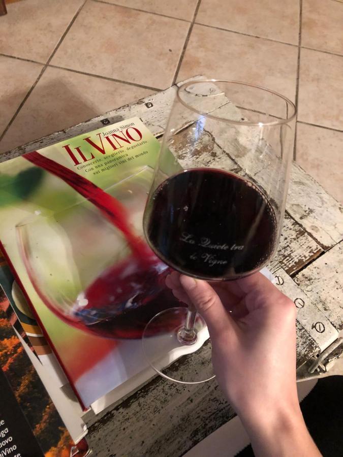 La Quiete Tra Le Vigne Tuscany Collesalvetti Exteriör bild