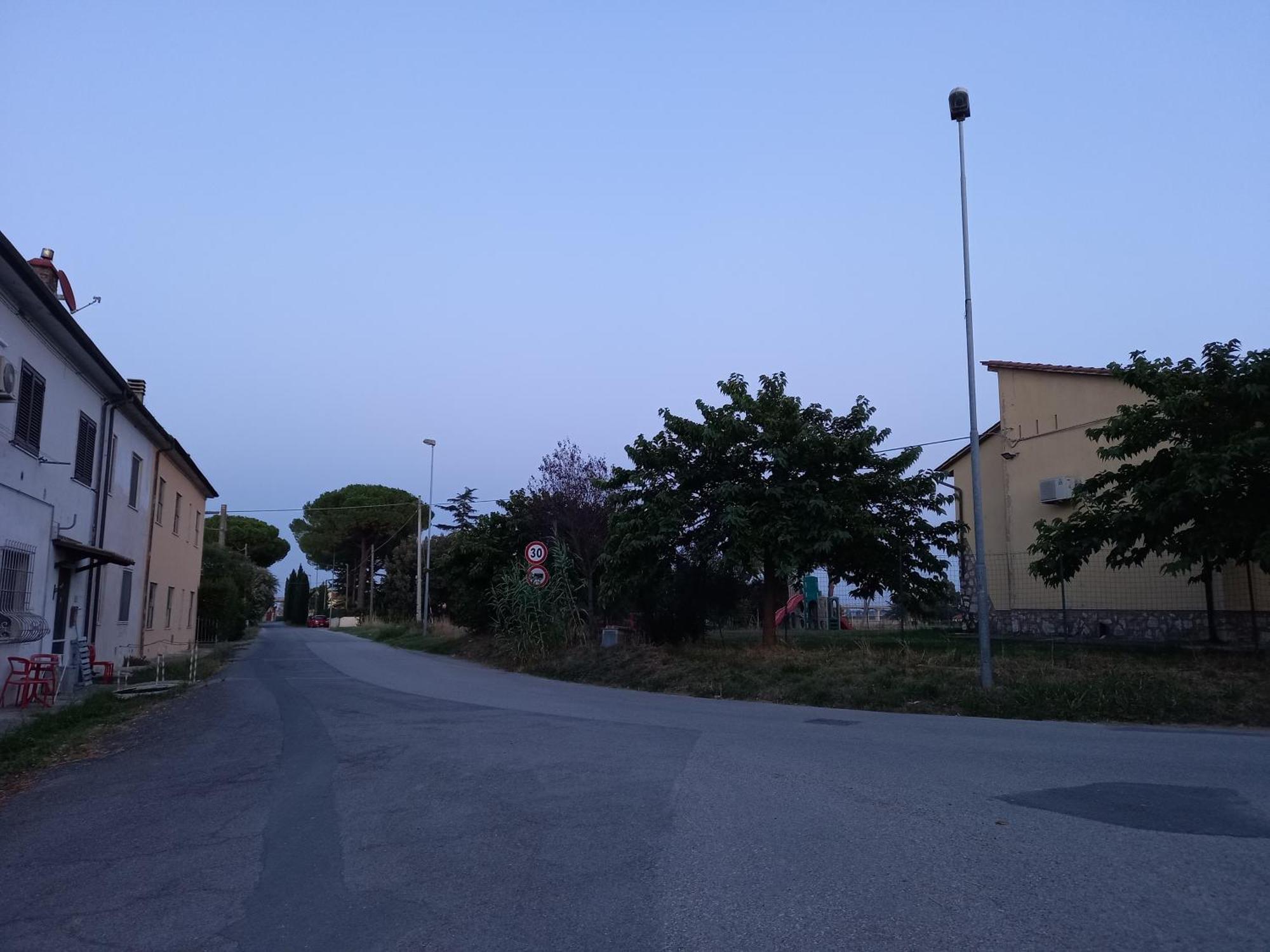 La Quiete Tra Le Vigne Tuscany Collesalvetti Exteriör bild