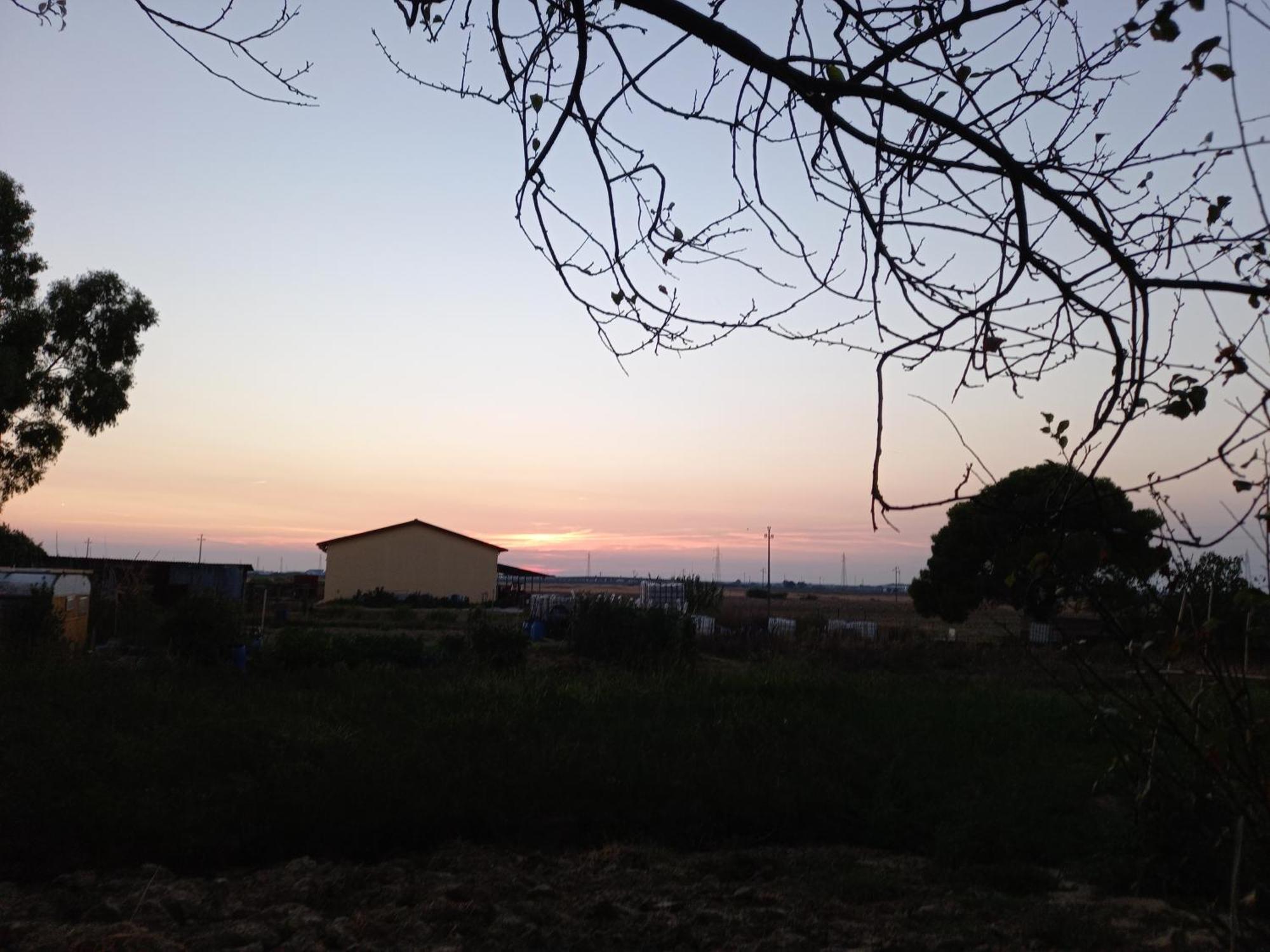 La Quiete Tra Le Vigne Tuscany Collesalvetti Exteriör bild